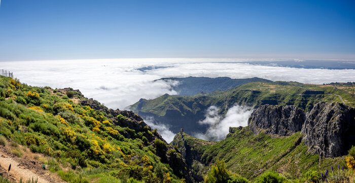 Flowering gorge slopes at Pico do Arieiro, Madeira Island, Portugal. Low cumulus clouds in the background.