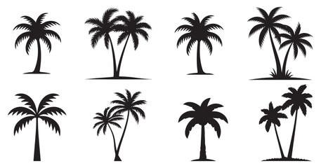 Fototapeta premium Group of tropical palm trees, black silhouette vector set for island and beach designs. vector illustration eps 10