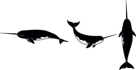Set of narwhal silhouettes in different swimming poses isolated marine animal vector © Afroja