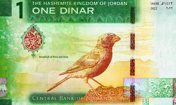 1 Dinar Jordan with the image of the national bird Rosefinch of Petra and Rum. Paper money of Jordan