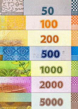 Set of Syrian Pound Banknotes. National Currency of Syria. Money of Asia.