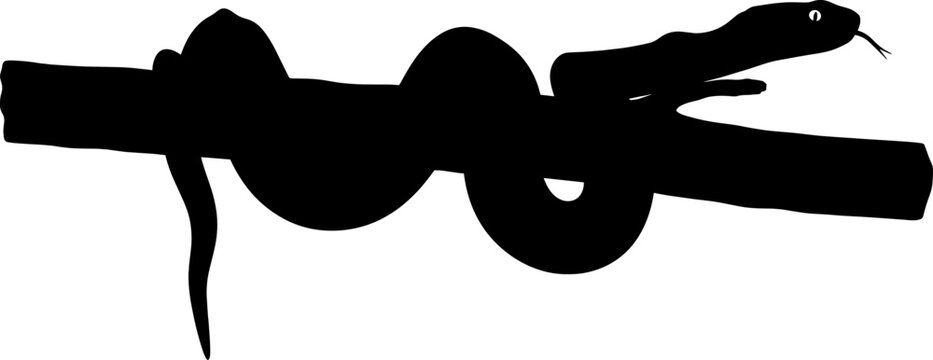 Coiled snake silhouette slithering along a tree branch