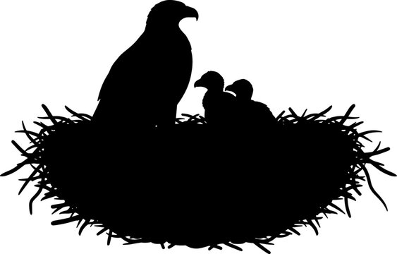 Eagle silhouette with chicks in large nest bird family