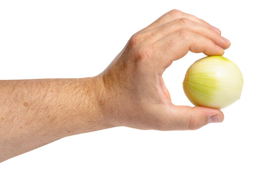 Fingers holding peeled onion bulb closeup