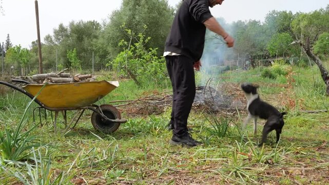 Happy man playing with his Boston Terrier dog in a rural field during garden cleanup, bonfire smoke and yellow wheelbarrow in background.