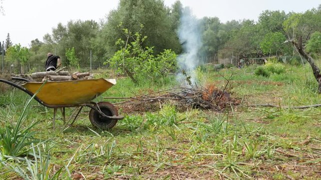 Man burning organic pruning waste in a rural field. Yellow wheelbarrow with logs in foreground. Small bonfire with smoke during seasonal garden maintenance and farm work.