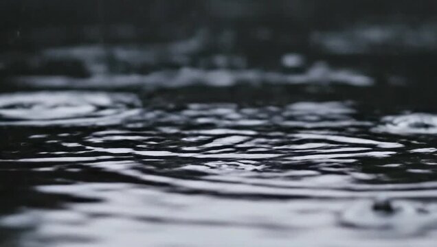 Rain-Kissed Puddle: Gentle raindrops ripple the surface of a puddle, creating delicate patterns and reflecting the subdued light of a cloudy day. 
