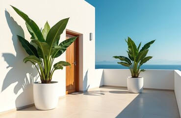 Obraz premium Large green banana plants in white pots on a bright outdoor terrace. White walls and clear blue sky frame the scene. Ocean view with distant mountains.