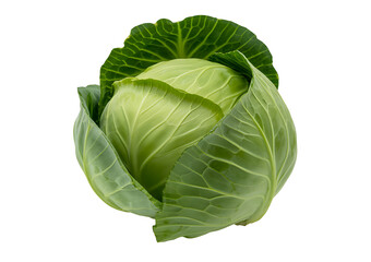 Obraz premium Fresh Green Cabbage Isolated on White Background