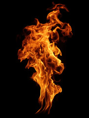 Fototapeta premium Realistic Single Fire Flame with Intense Orange and Yellow Light Isolated on Pure Black Background