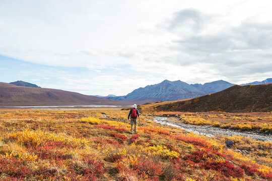 Hike in tundra
