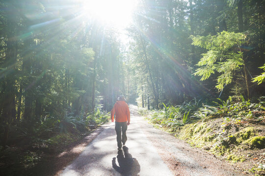 Hike in the forest
