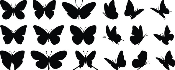 Butter fly © MSTULUFA