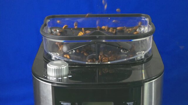 Roasted coffee beans are steadily poured into the clear hopper of a modern coffee grinder, gradually filling it up for fresh brewing