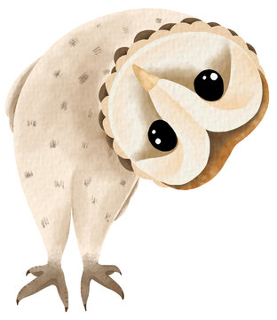Cute owl cartoon.Feathered animals.