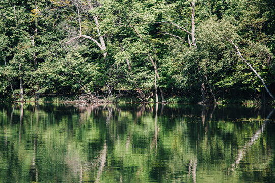 Mont Saint Bruno National Park Quebec calm lake reflections and forest landscape