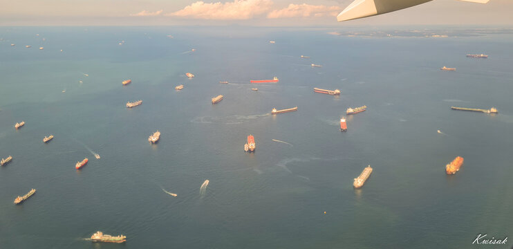 Les Fourmies maritimes