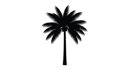 A striking black palm tree stands isolated against a white background silhouette © nhpvect02