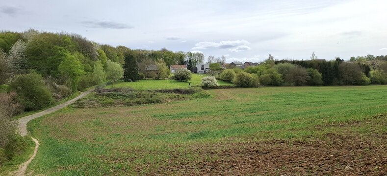 Paysage de campagne verdoyant au printemps, avec un champ au premier plan, une for&ecirc;t et quelques habitations modernes &agrave; l'arri&egrave;re plan