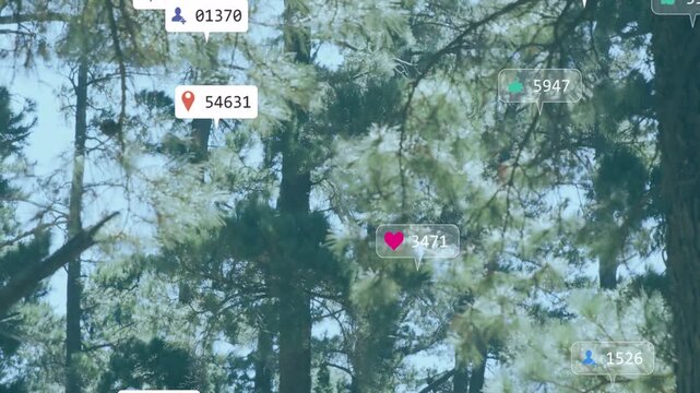 Pine forest receiving floating social badges on data stream visualizing engagement metrics