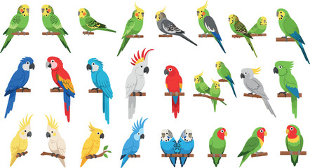 Parrot and tropical birds vector set with macaw cockatoo budgie and exotic colorful wildlife illustration collection © EdGe Creative
