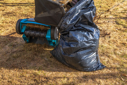 Close up view of emptying lawn dethatcher dry grass into plastic bag during seasonal yard maintenance. Sweden.