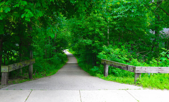 A narrow paved path leads into dense green woods with sunlight filtering through the leafy trees wooden railings frame the entrance creating a peaceful and natural outdoor scene
