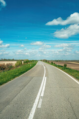 Fototapeta premium Wide open country road curves through flat agricultural landscape beneath a vivid blue sky dotted with fluffy white clouds, evoking freedom, travel, calm and rural serenity