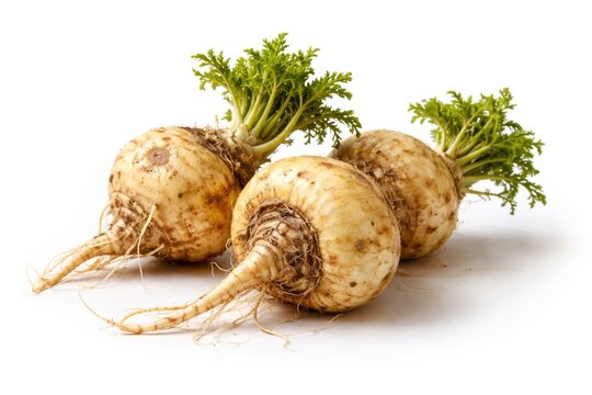Composition of three natural maca roots against a white surface