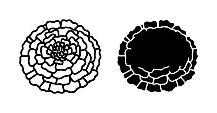 Marigold flower line art and black silhouette icons