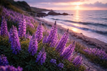 Fototapeta premium Beautiful violet flowers flourishing along calm seaside coast