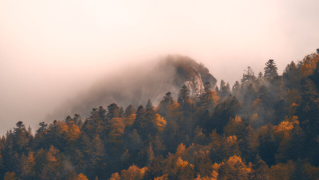 Coniferous Forest and Rocky Peak Shrouded in Mist