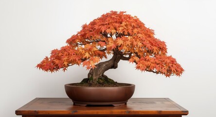 Naklejka premium Graceful maple bonsai tree adorned with seasonal orange leaves inside a smooth brown bowl on aged wood