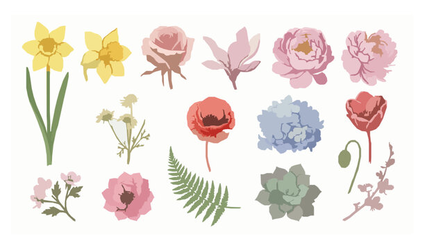 Watercolor floral vector set with daffodil rose peony tulip hydrangea and botanical elements isolated on white