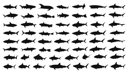 Fototapeta premium Sharks collection features numerous predatory fish silhouettes arranged in a grid pattern against a clean white background to showcase various swimming poses for marine biology and graphic design.