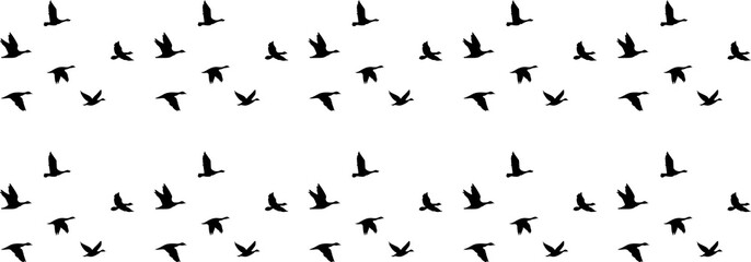 Naklejka premium Flock of birds silhouette png black silhouette of bird flock flying on white background, Beautiful flock of birds flying in blue sky png transparent background Png