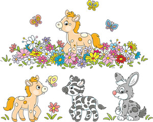 Naklejka premium Little colt, zebra and rabbit with butterflies and flowers, a set of vector cartoon illustrations on a white background