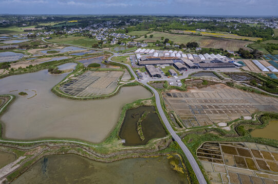 Salt marshes of Gu&eacute;rande in France, called the White Land