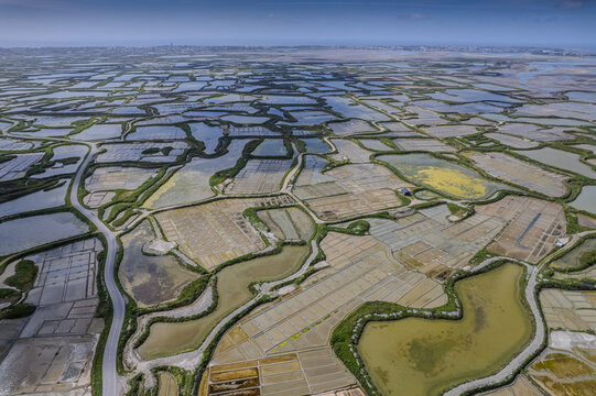 Salt marshes of Gu&eacute;rande in France, called the White Land