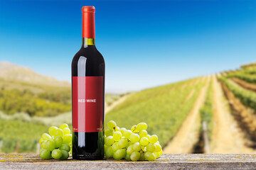 Fototapeta premium Red wine bottle with grapes vineyard background