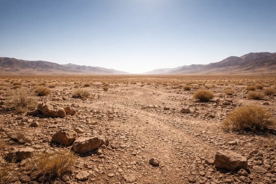 vast empty desert expanse under clear sky with rocky ground