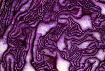 Obraz premium Background of purple cabbage in a section, macro photography. Texture and pattern of raw red cabbage.