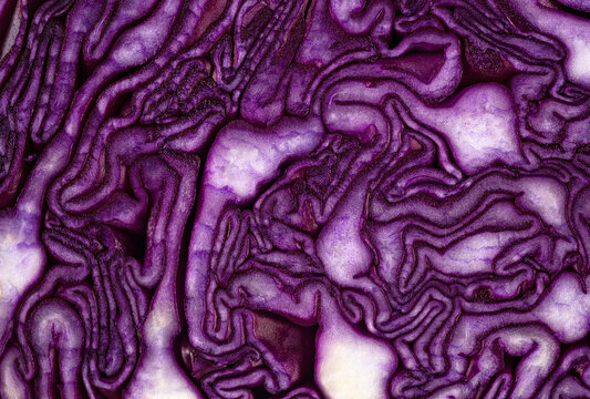 Background of purple cabbage in a section, macro photography. Texture and pattern of raw red cabbage.