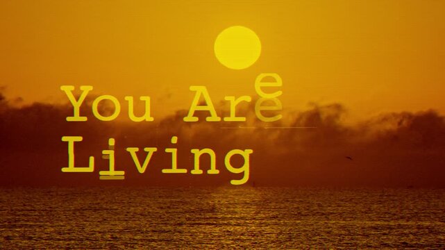 text with words you are living in a simulation and sea sunrise