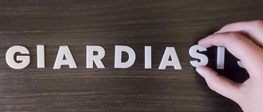 the word giardiasis written on a dark background with white block letters or capital letters (fast version)
