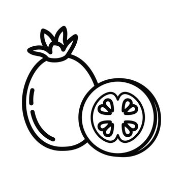 Feijoa Fruit Slice Healthy Food Graphic