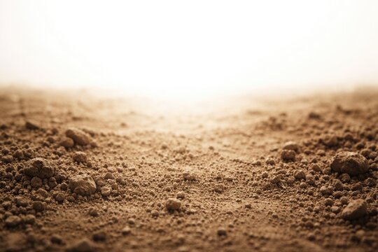 minimalist abstract background showcasing rough soil floor texture with high key lighting copy space