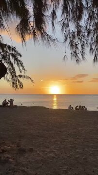 Golden Sunset Over Beach in Mauritius with People Silhouettes and Tree Branches