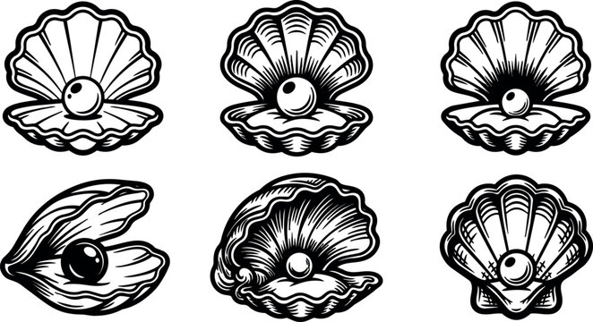 Black and white line art collection of six open pearl shells vector illustrations