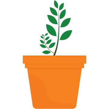 Potted plant vector flat flower isolated icon
